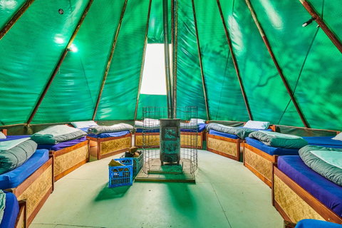 Arts Factory By Nomads - Accommodation Main Beach 26