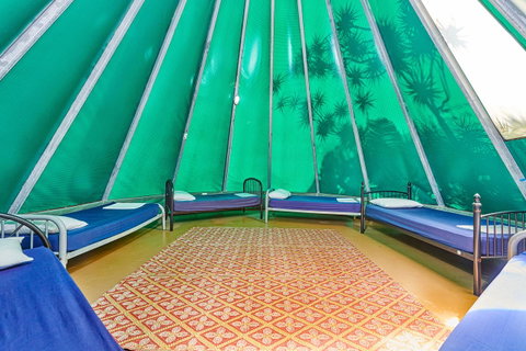 Arts Factory By Nomads - Accommodation Main Beach 15
