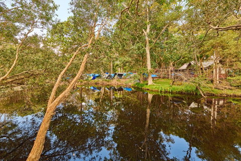 Arts Factory By Nomads - Accommodation Main Beach 12