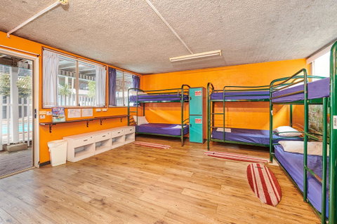 Arts Factory By Nomads - Accommodation Main Beach 19