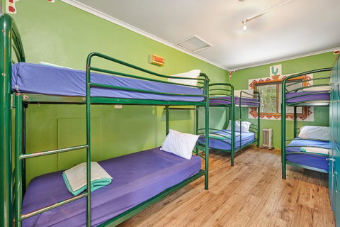 Arts Factory By Nomads - Accommodation Main Beach 31