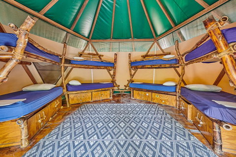 Arts Factory By Nomads - Accommodation Main Beach 4