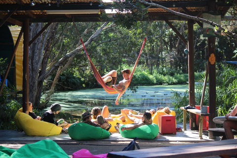 Arts Factory By Nomads - Accommodation Main Beach 33
