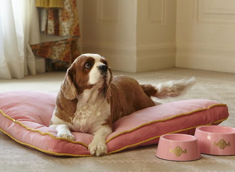 The Langham Sydney - Accommodation Main Beach 23