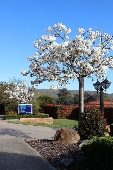 Hume Country Motor Inn - Accommodation Main Beach 0