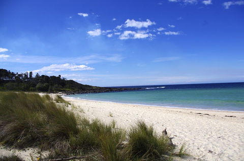 Jackson Ranch By Bannisters - Accommodation Main Beach 32