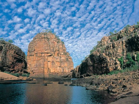 Pine Tree Motel - Accommodation Main Beach 42