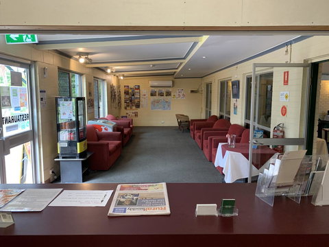 Pine Tree Motel - Accommodation Main Beach 36