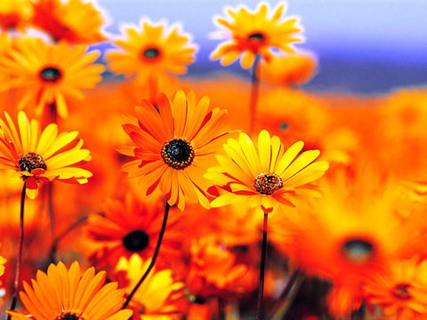 Beaches Serviced Apartments - Accommodation Main Beach 31