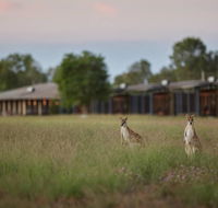 Wildman Wilderness Lodge - Accommodation Main Beach