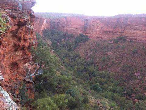 Discovery Resorts - Kings Canyon - Accommodation Main Beach 34