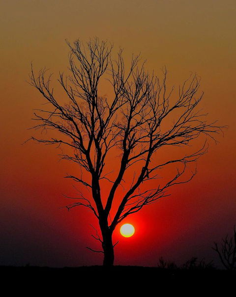 Discovery Resorts - Kings Canyon - Accommodation Main Beach 43