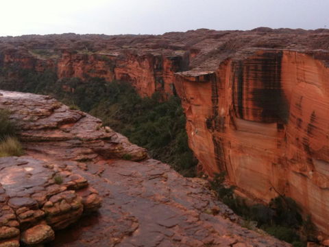 Discovery Resorts - Kings Canyon - Accommodation Main Beach 35