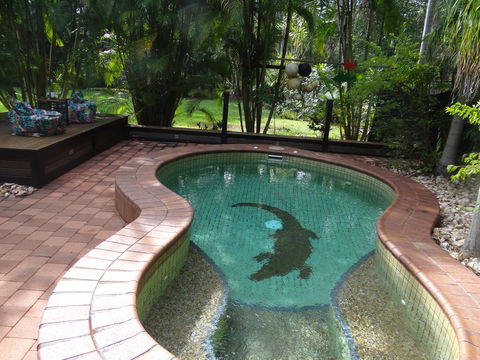 DARWIN'S SHADY ACRES RETREAT - Accommodation Main Beach 13