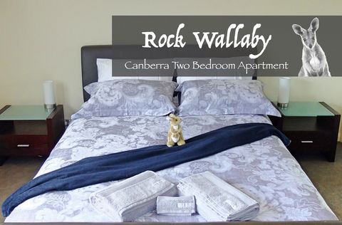 Rock Wallaby - Accommodation Main Beach 4