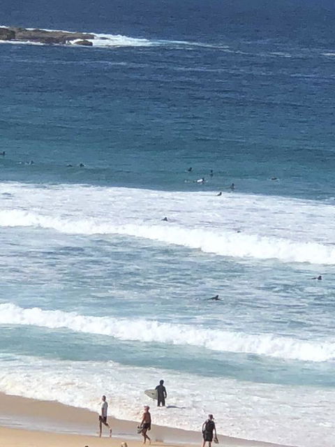 Bondi 38 Serviced Apartments - Accommodation Main Beach 2
