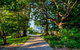 Boscobel Of Tasmania - thumb 0