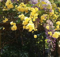 Bowral Road Bed and Breakfast - Accommodation Main Beach