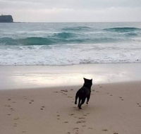 Breakers at Mudjimba Beach - Accommodation Main Beach