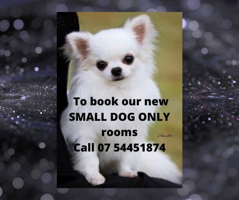 Buderim Fiesta Motel - Accommodation Main Beach 0