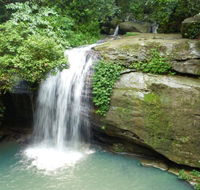 Buderim Forest Hideaway - Accommodation Main Beach