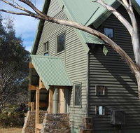 Buffalo - Accommodation Main Beach