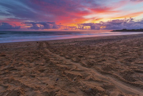 Bundaberg Park Village - Accommodation Main Beach 2