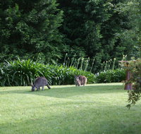 Bundanoon 2578 - Accommodation Main Beach