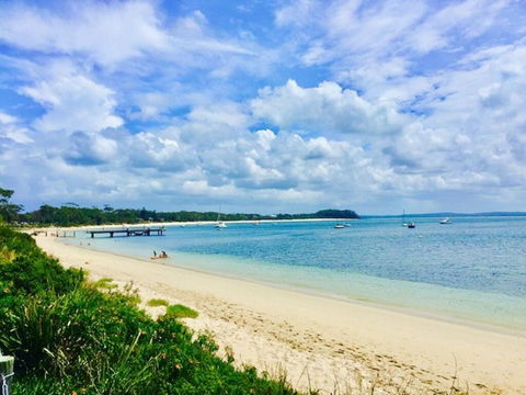 C A L M At Beautiful Shoal Bay - Accommodation Main Beach 3