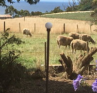 Cape View B and B - Accommodation Main Beach