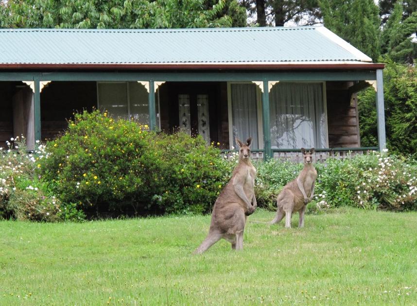 Bell NSW Accommodation Main Beach