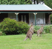 Cedar Lodge Cabins - Accommodation Main Beach