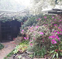 Charming country house close to Grafton - Accommodation Main Beach