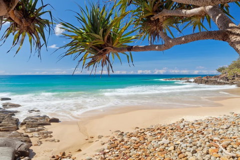 Coolum Classic Beach Shack - Pet Friendly - Accommodation Main Beach 0