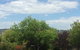 Costa Park Cottage Dio - Armidale - thumb 3