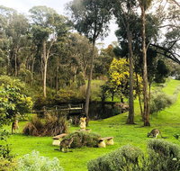 Countryside Retreat Intimate Studio Hepburn - Daylesford - Accommodation Main Beach