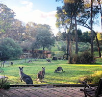 Countryside Retreat Spa Cottage Hepburn - Daylesford - Accommodation Main Beach
