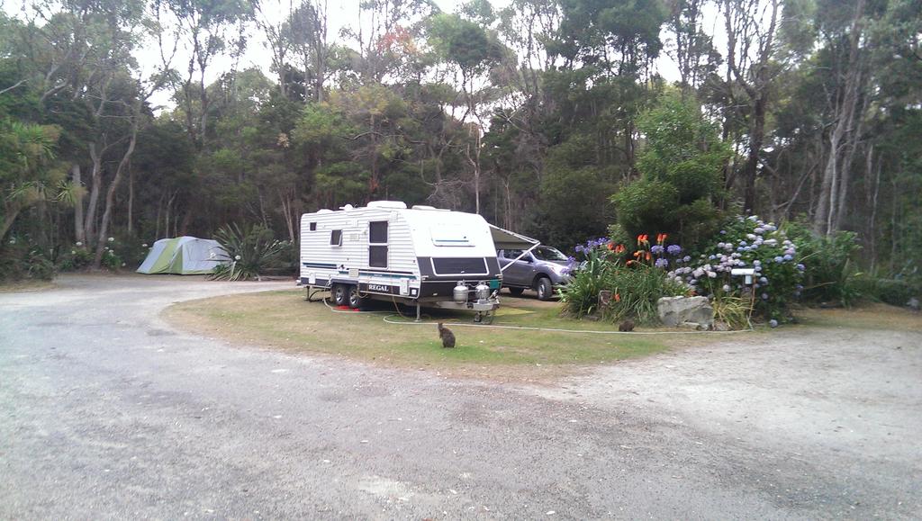 Crayfish Creek TAS Accommodation Main Beach