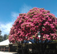 Crossways Country Inn - Accommodation Main Beach