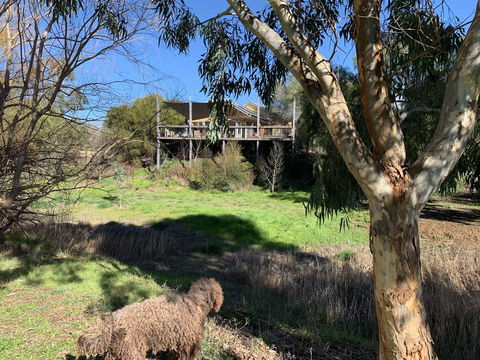 Cullen House - Accommodation Main Beach 1