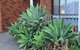 Delightful Bedroom In Bentleigh East - thumb 2