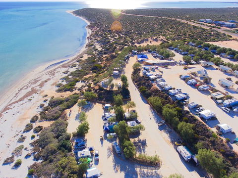 Denham Seaside Caravan Park - Accommodation Main Beach 0