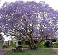 Ecotel Narooma - Accommodation Main Beach