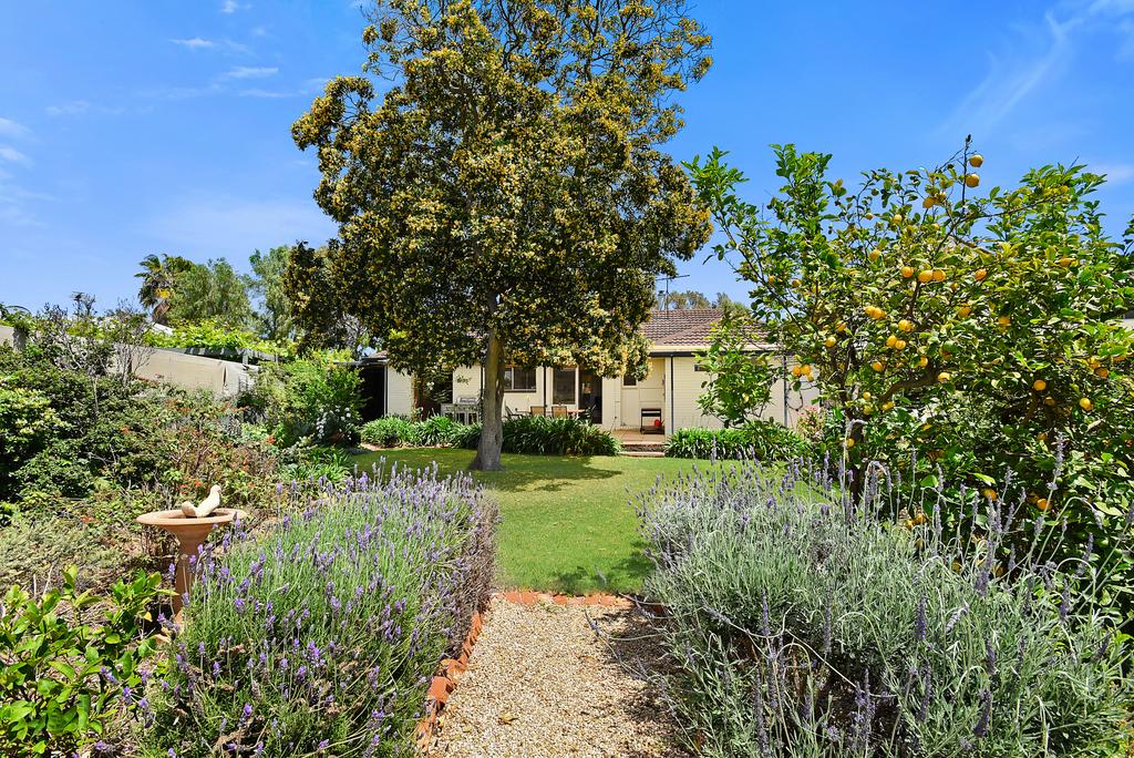 Accommodation Main Beach