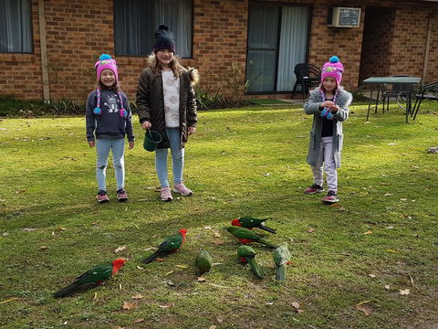 Eildon Parkview Motor Inn - Accommodation Main Beach 1