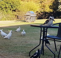 Eildon Parkview Motor Inn - Accommodation Main Beach