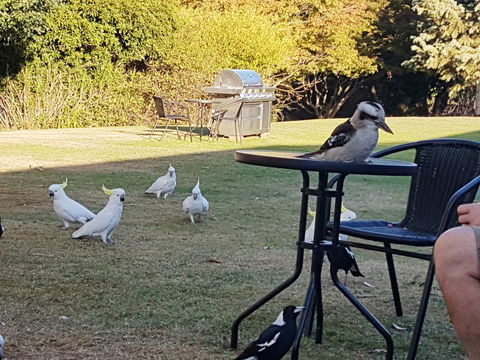 Eildon Parkview Motor Inn - Accommodation Main Beach 0