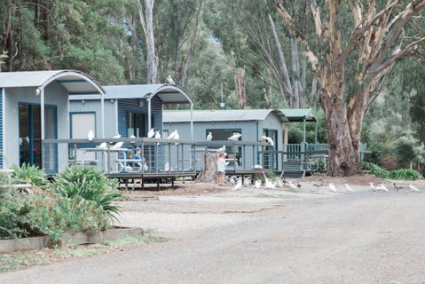Eildon Pondage Holiday Park - Accommodation Main Beach 3