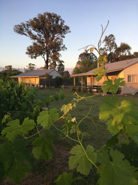 Emma's Cottage Vineyard - Accommodation Main Beach 3