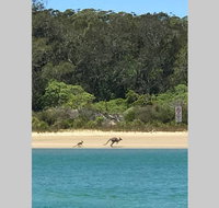 FAIRVIEW COTTAGE 25B - Waterfront accommodation - Accommodation Main Beach